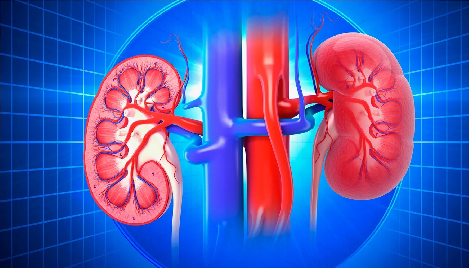 أخبار منوعة – ب- متنوع – دواء متوافر منذ عقود… اكتشاف يغير المعايير أخبار منوعة – ب- متنوع – دواء متوافر منذ عقود… اكتشاف يغير المعايير