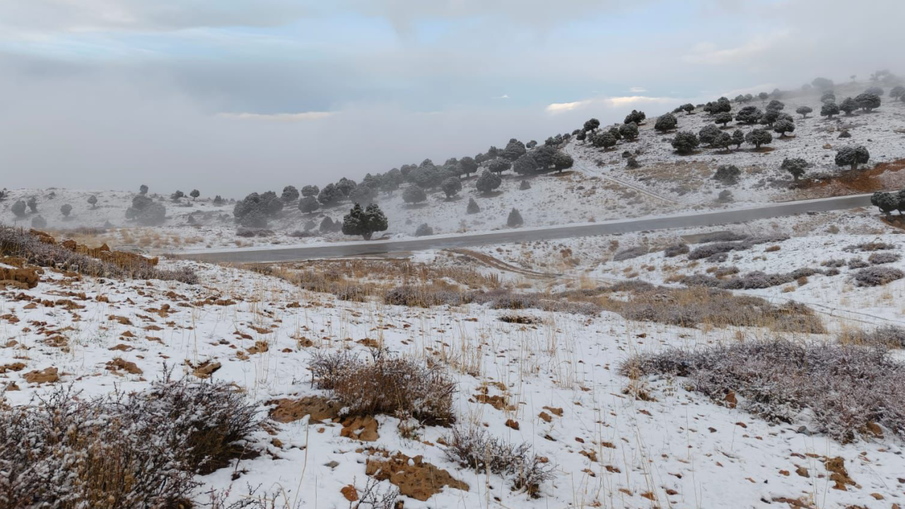 03b622efca74b72cd96bf52926f3e624