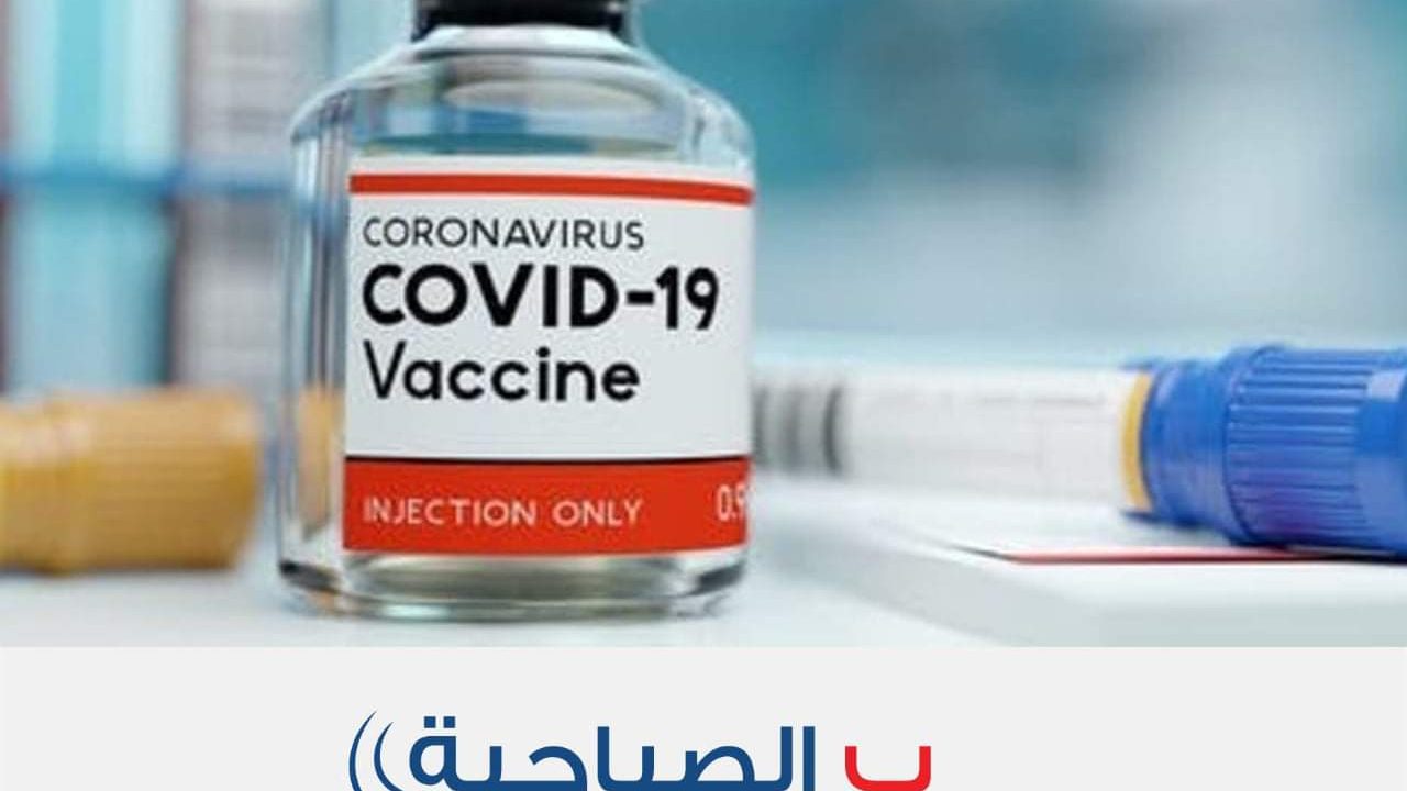 153593198_4135405526520554_6346863354289296352_n