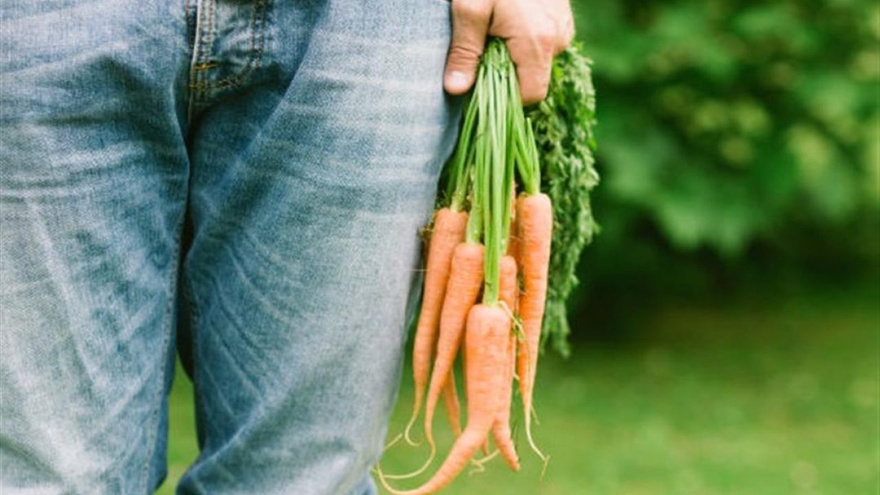 2024_2_25_16_41_53_604