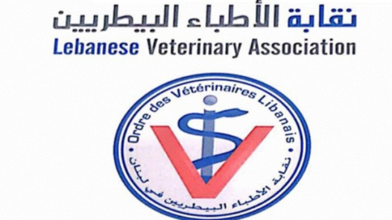 2ab34289a69d1606fc20dddf4e0981ce