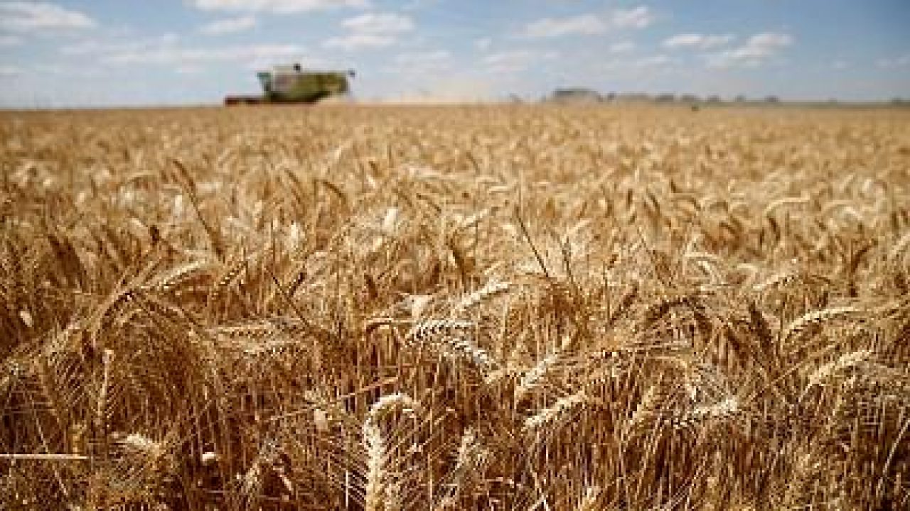 400x225_business-france-cereals-exports-ia4-4270548 400x225_business-france-cereals-exports-ia4-4270548