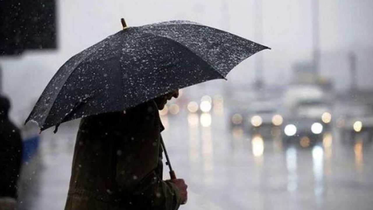 428509-Doc-P-r15anrg222c9cgoolsar57zrd2ghqeojfvcpfjv8kg