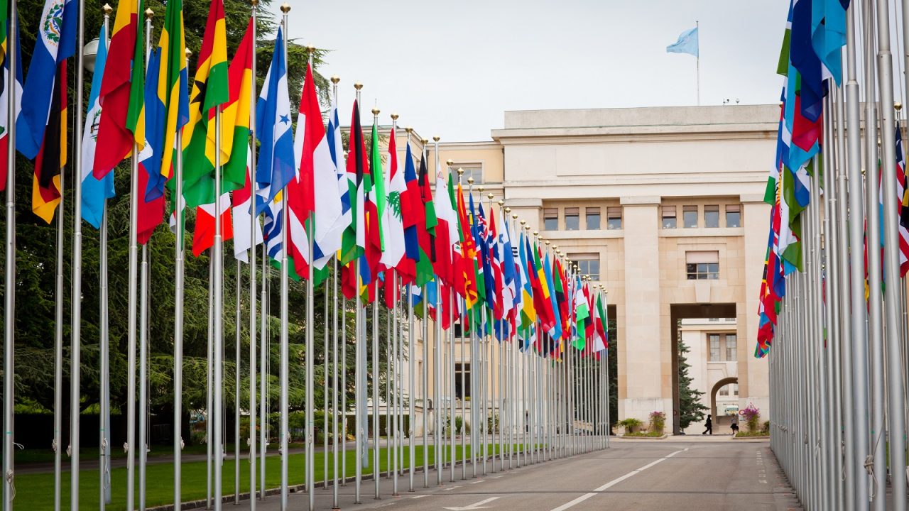 United Nations building with rows of flags.