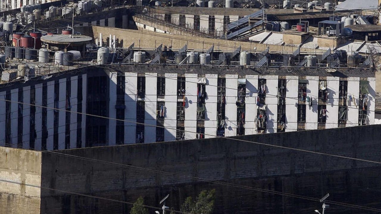 657446444612 657446444612