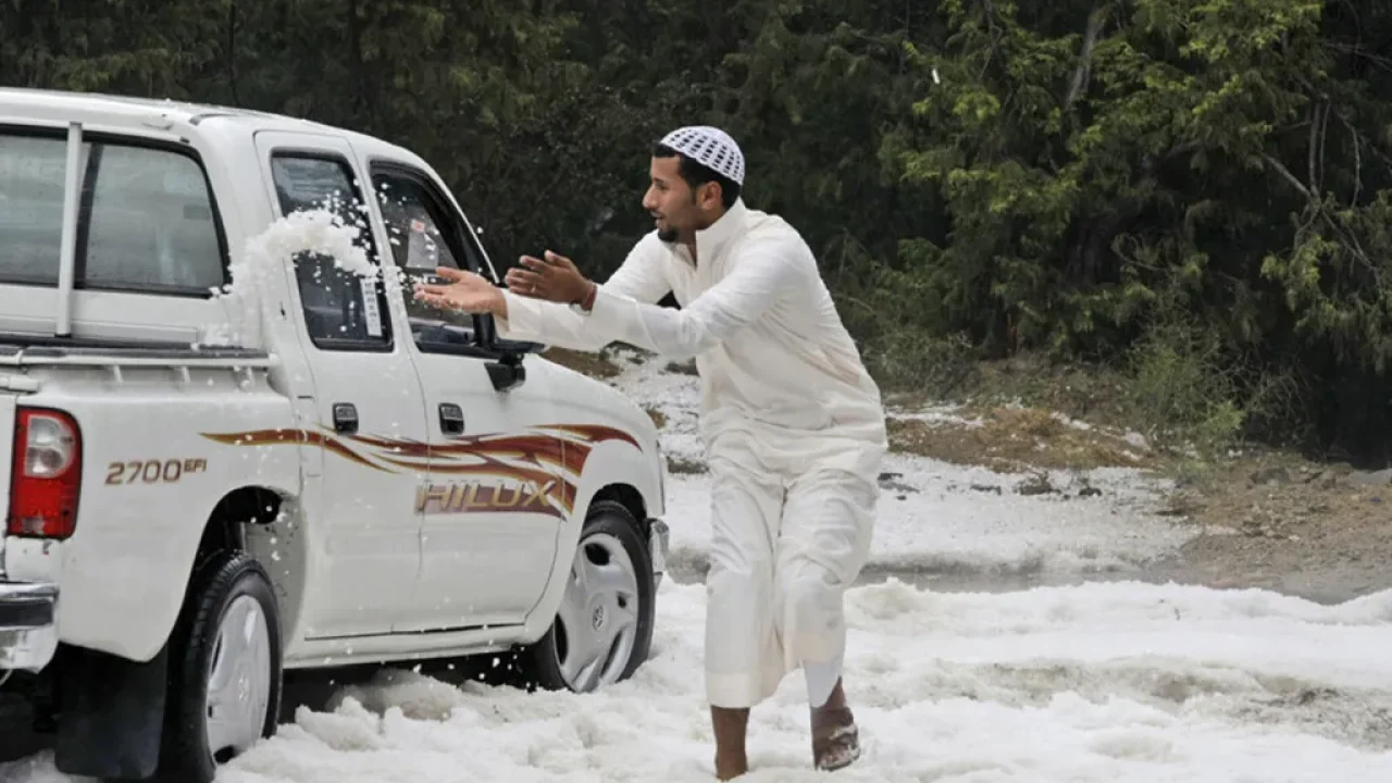 6942e3e24c59b756fa76a356_202758_large