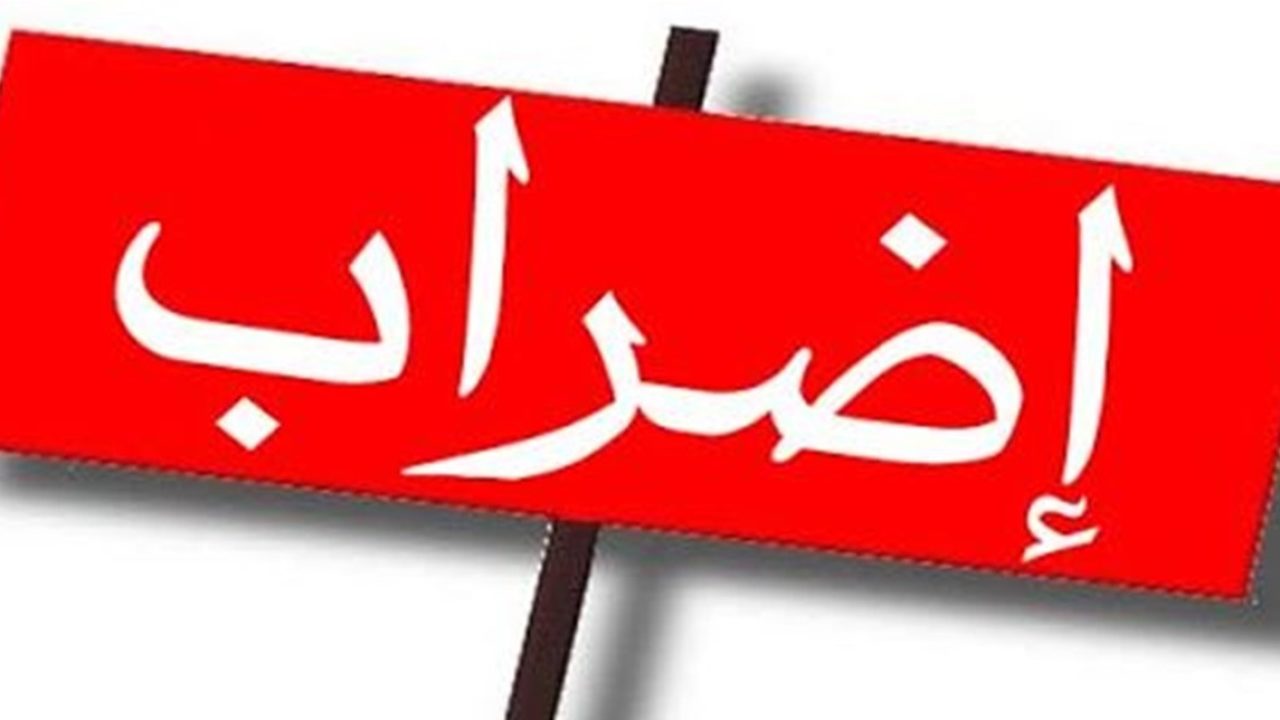 7206761801424-01-299c0b13f7bfa0440069034de69e701b4d73510df8