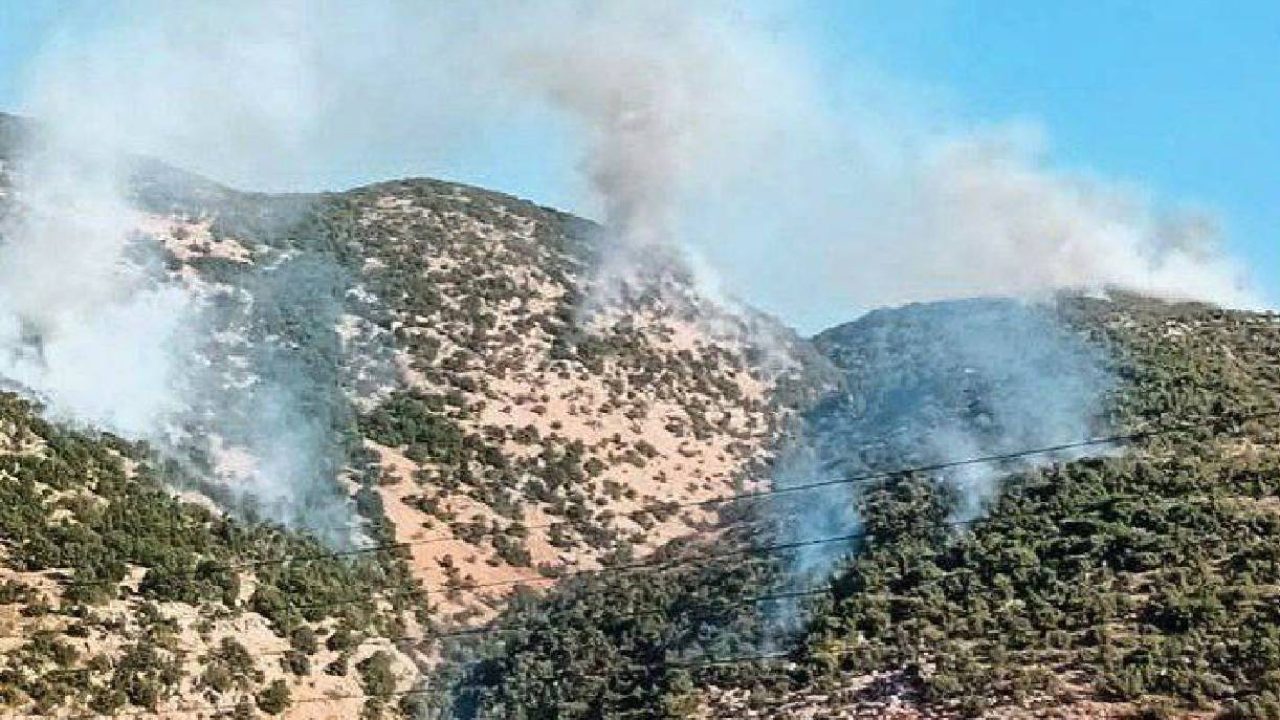 Artillery fire south Lebanon