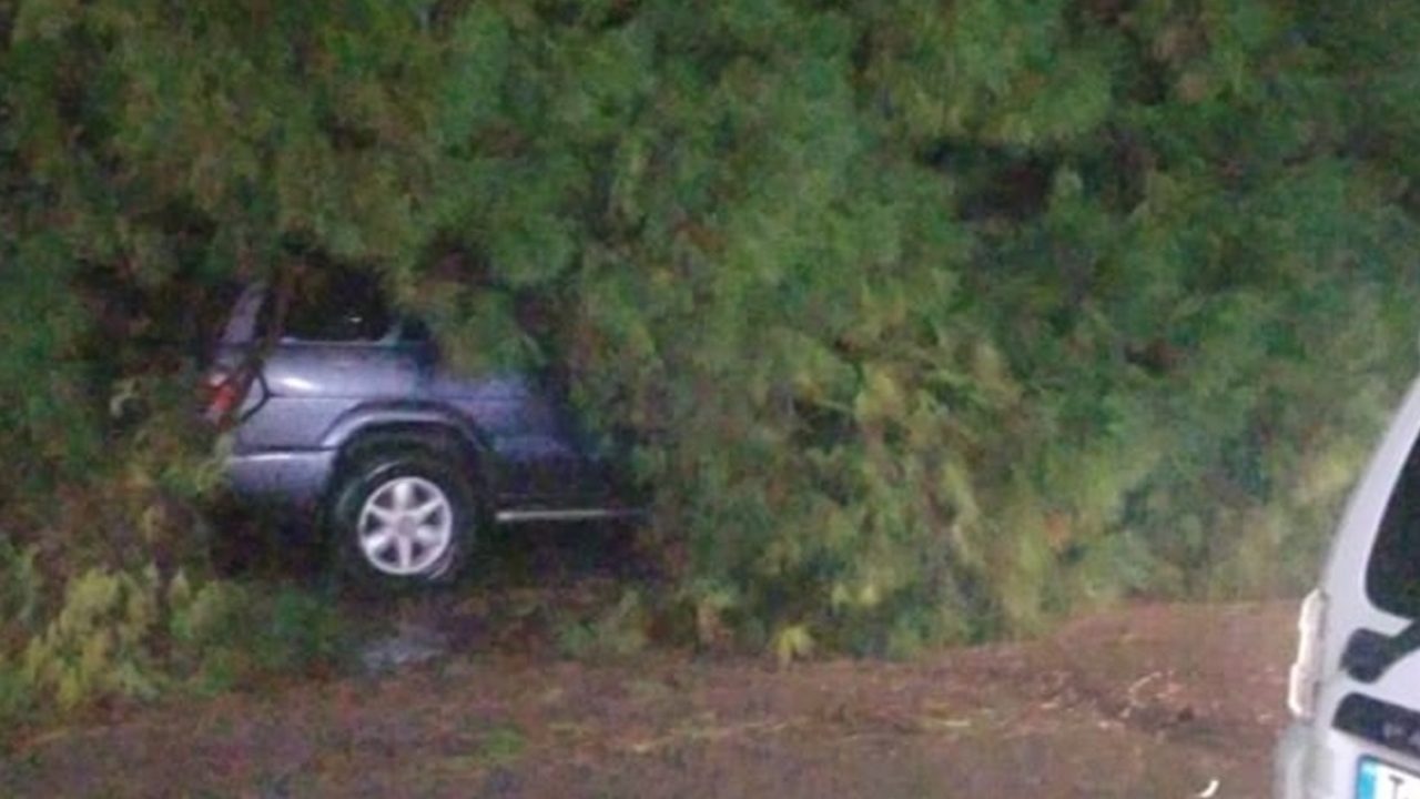 Doc-P-1468035-639039287906927407