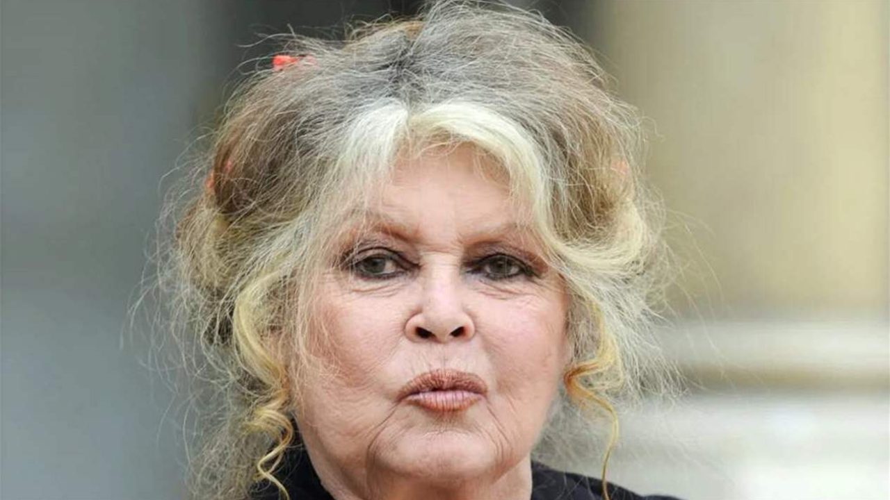 Doc-P-550319-638997639417505598