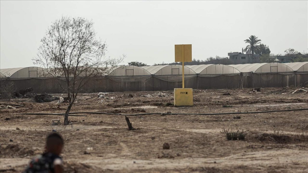 Doc-P-893792-639007251372375505