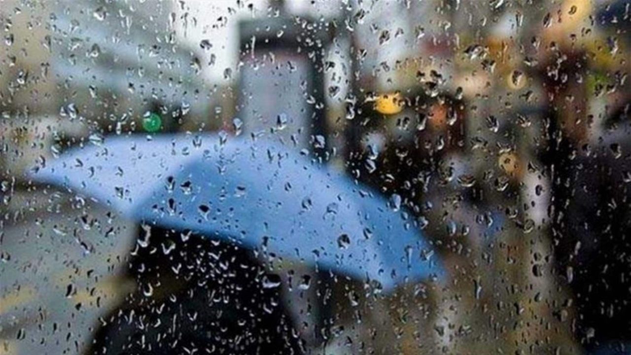 Doc-P-906650-639072546045531271