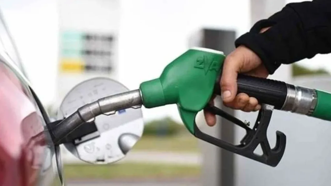 DocP883432638956733725906825_092545_large