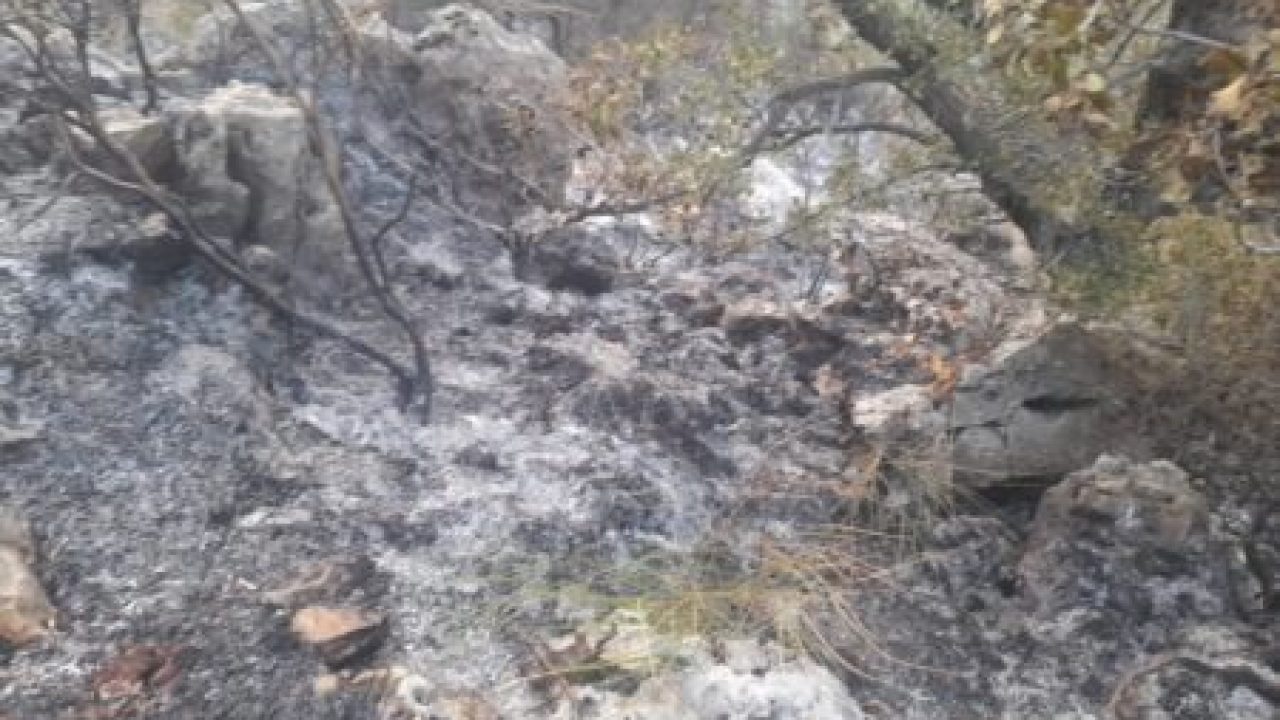 IMG-20220831-WA0000