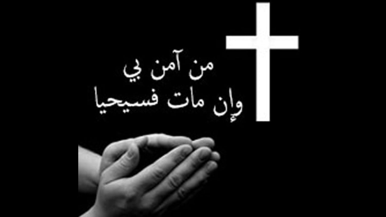 IMG-20230313-WA0010