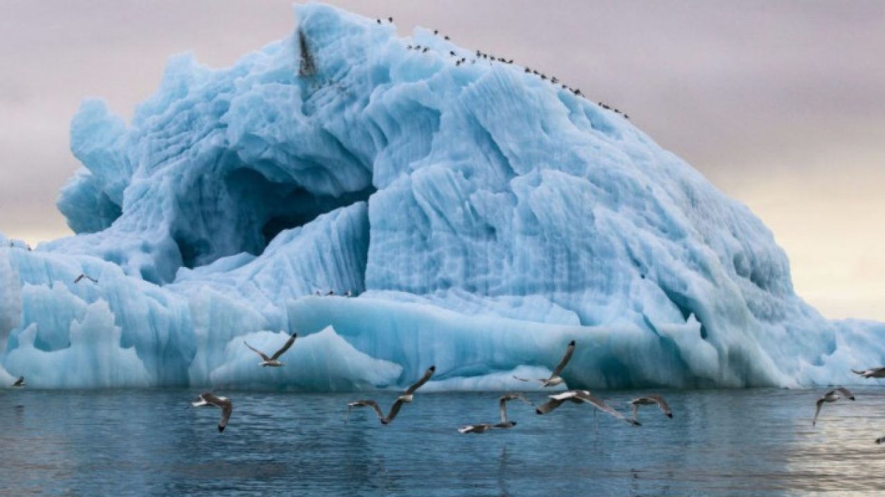 Iceberg Russia