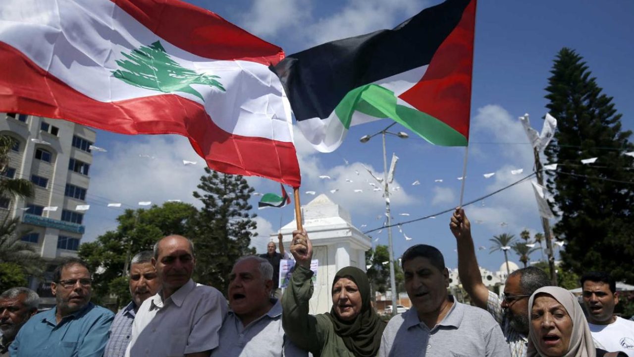 Lebanon Palestine Flag34