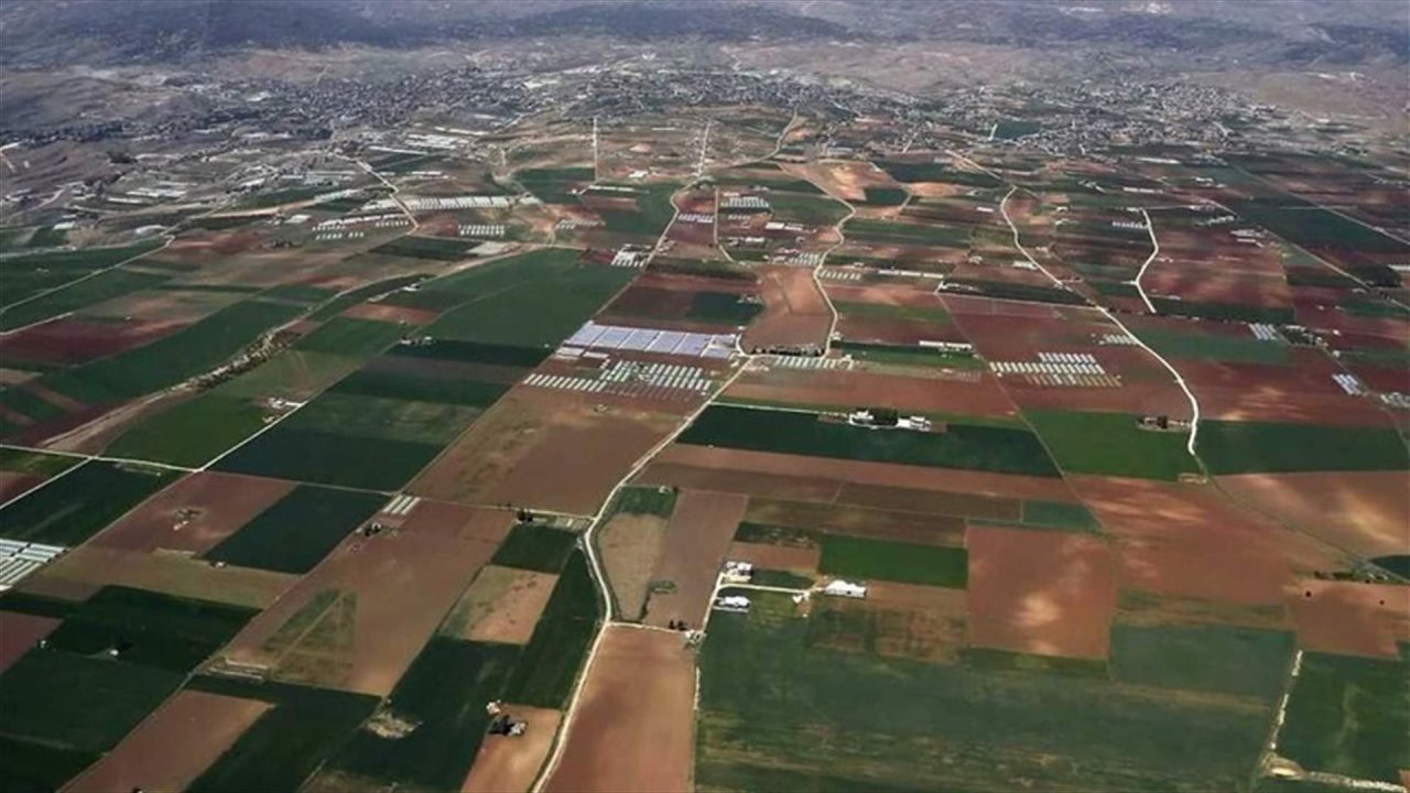 News-P-560119-637412915387581418