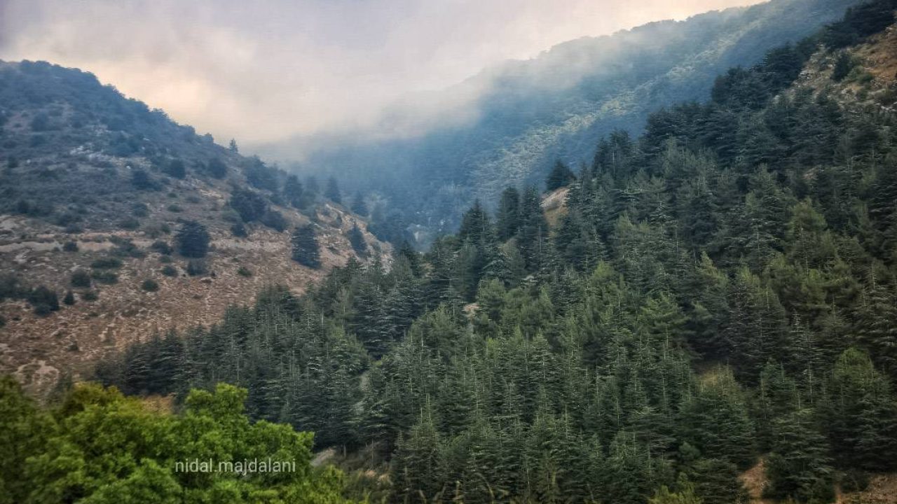 PSX_20190613_124328_747520 (1)