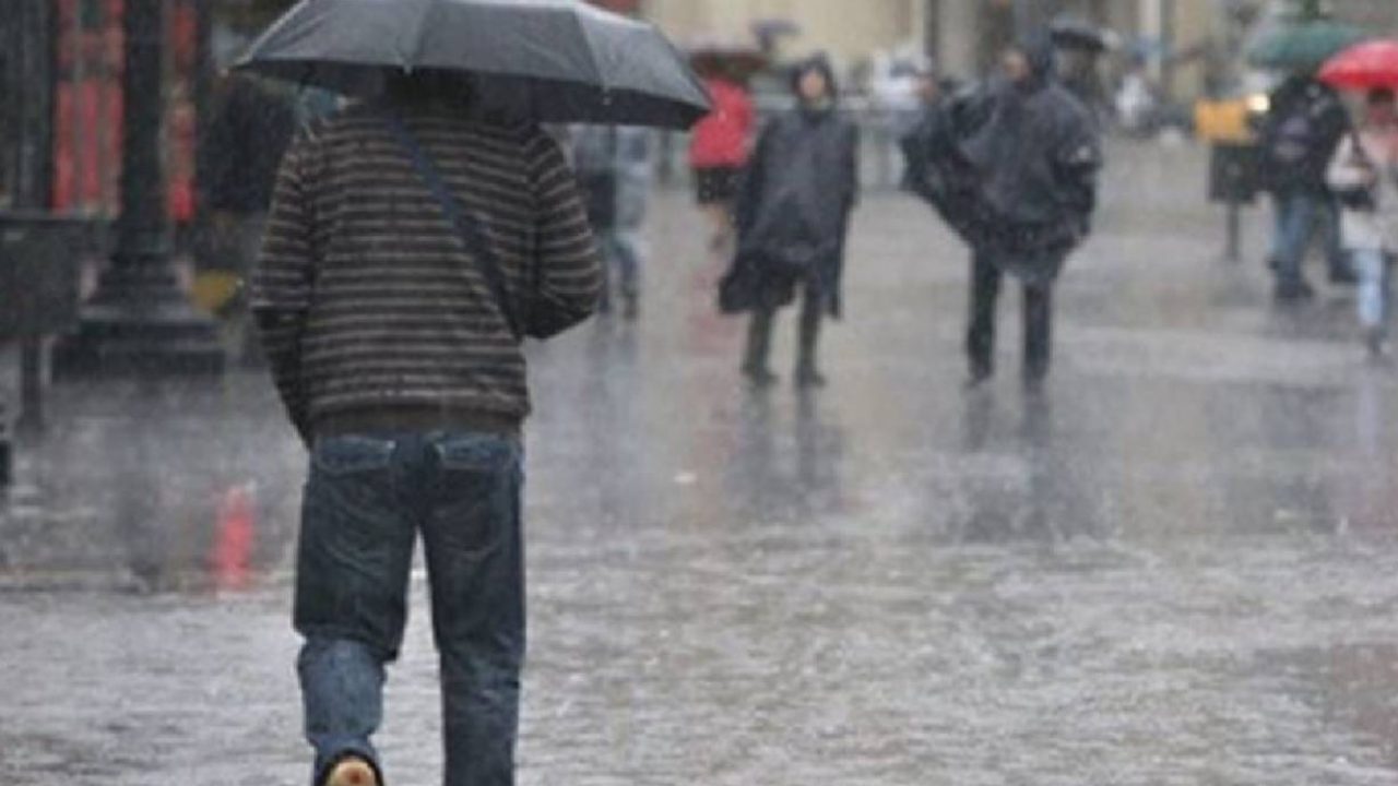 Rain paraplui