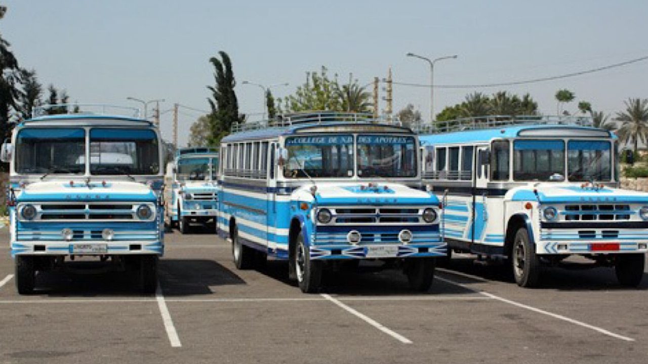 SCHOOL BUS