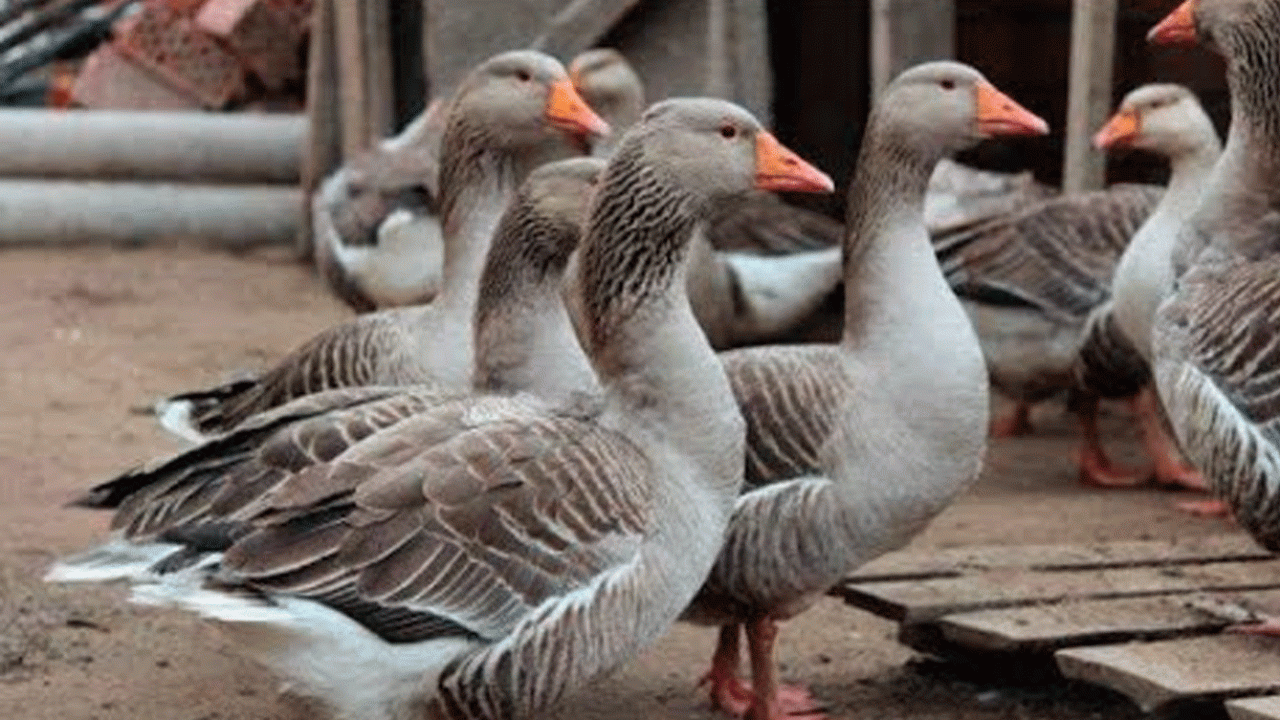 Untitled-1 Untitled-1