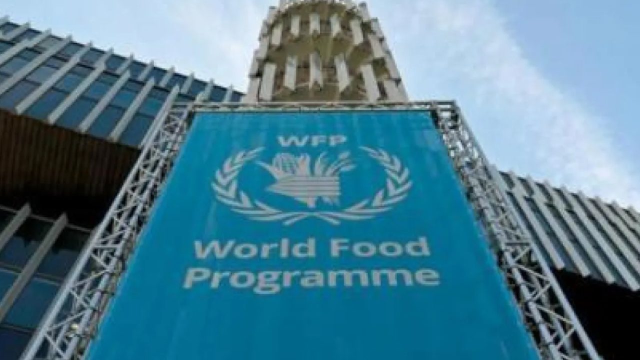 WFP