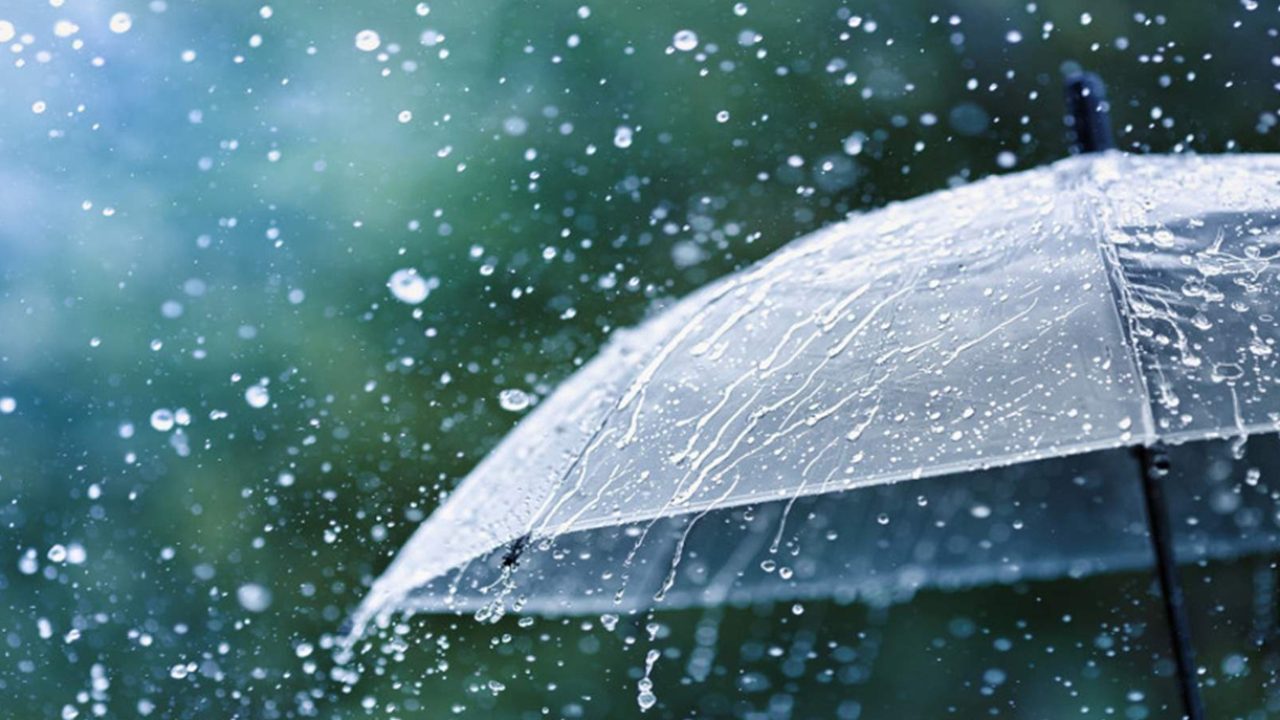 Weather