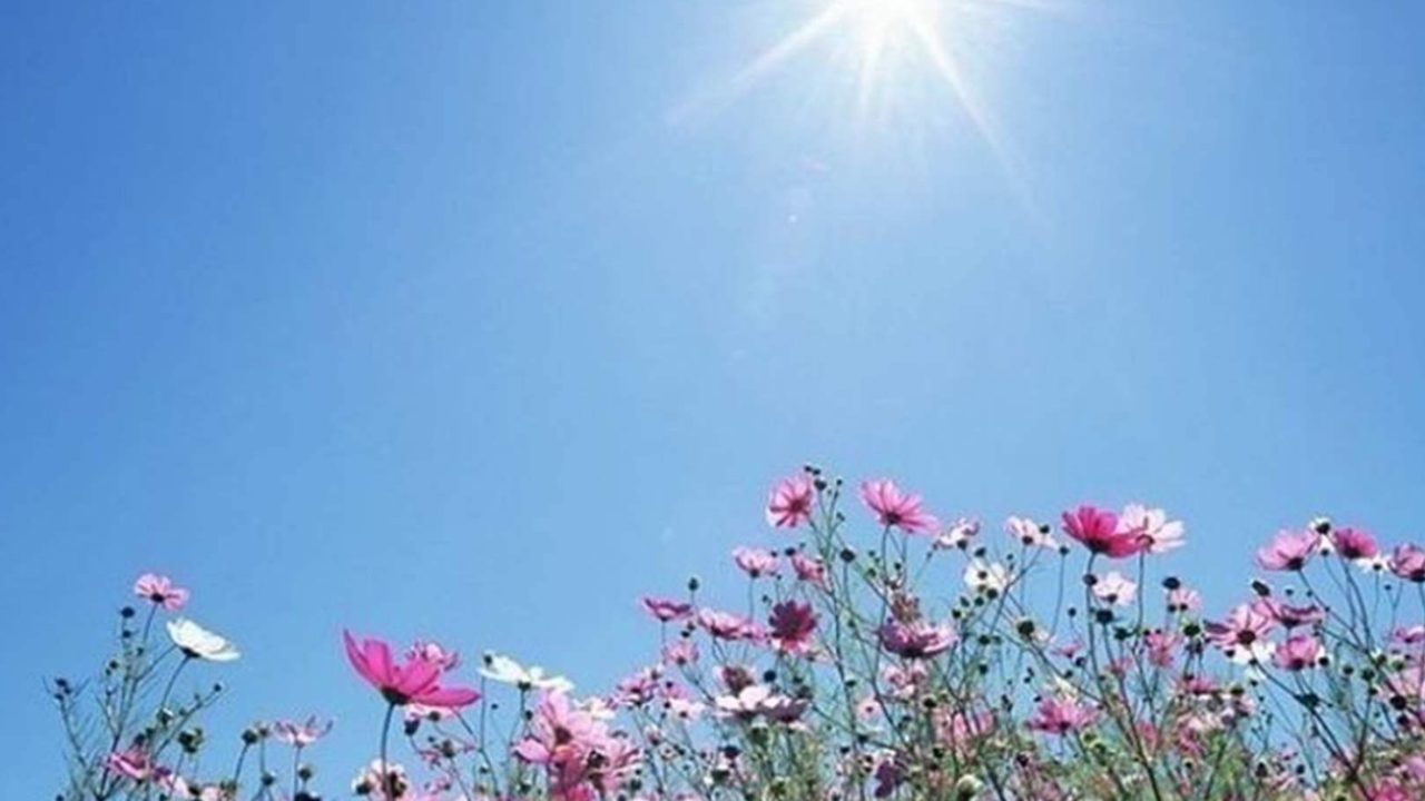 Weather