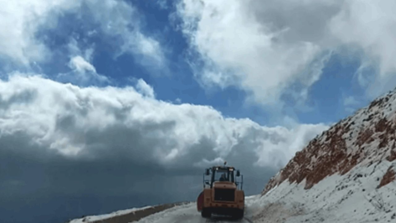 Weather