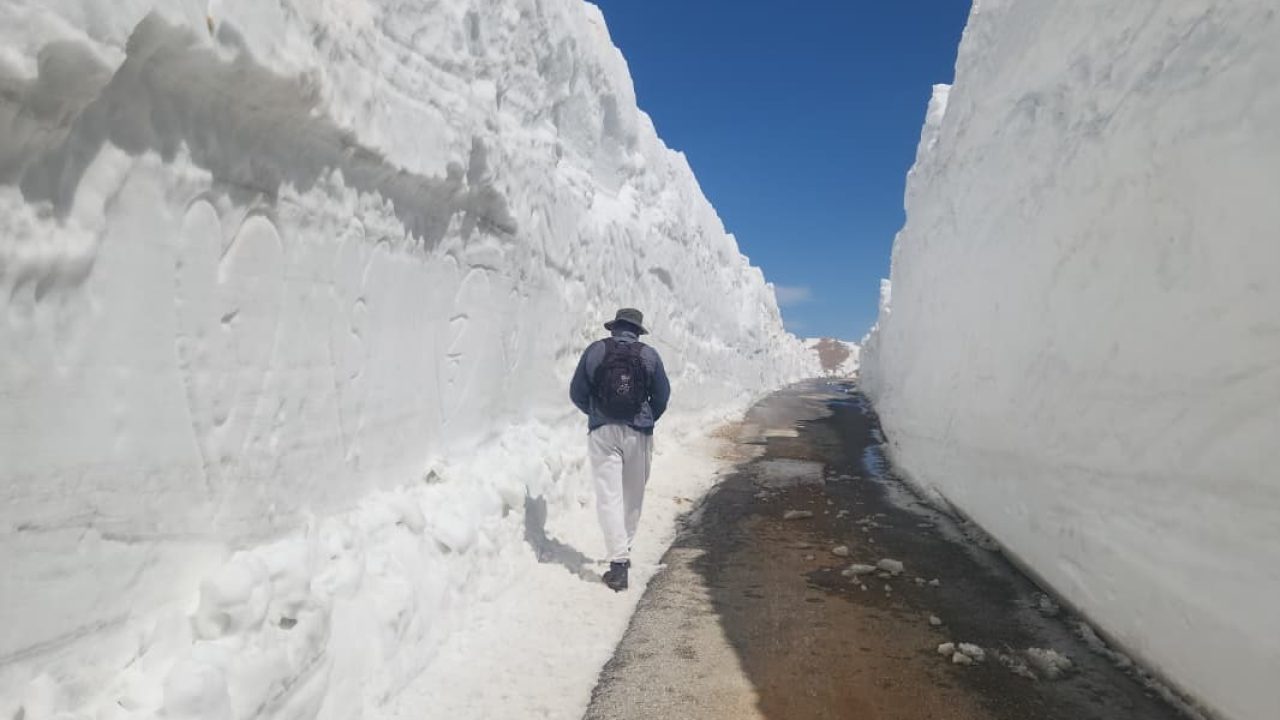 WhatsApp-Image-2025-04-19-at-15.21.25_163d91e3-r4l6xuogk6os9ro6239oax38ysx8wct340ye70zti8