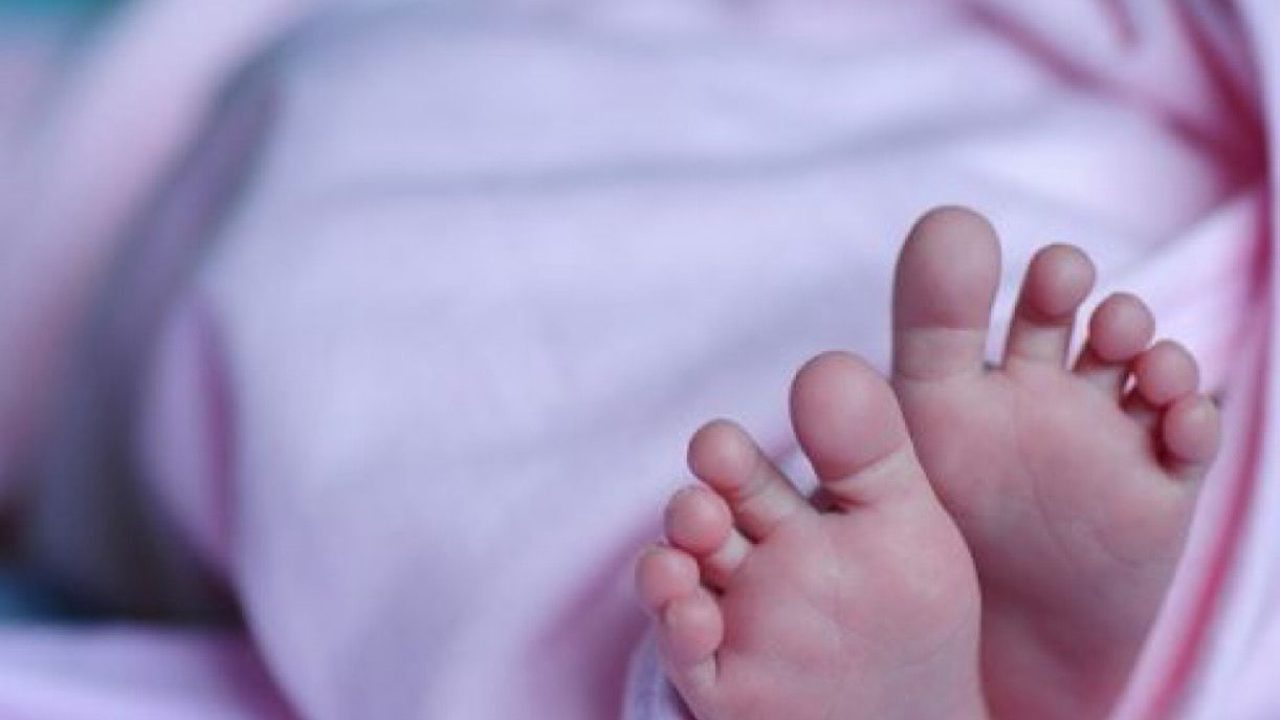 WhatsApp-Image-2025-09-19-at-12.23.40_9764d6af-rbzapd5eqzsguwk1n76smal6634rmpt4vj6g0ykc2o