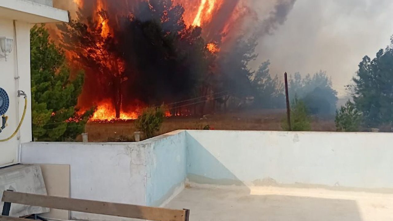 WhatsApp Image 2025-11-05 at 13.47.07_737e7d36