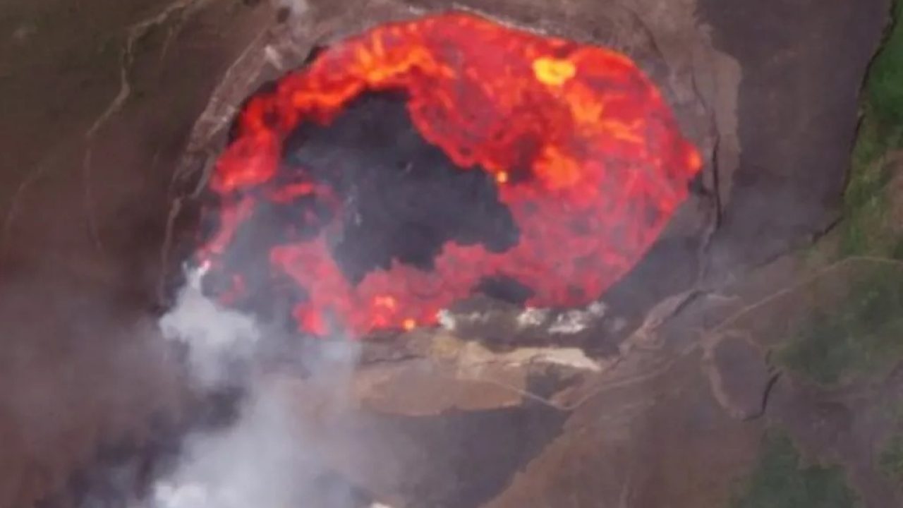 WhatsApp Image 2025-11-08 at 11.30.57_f37bf802