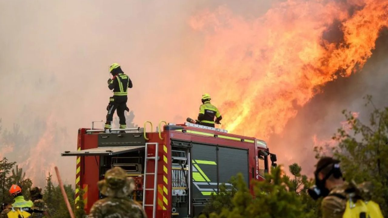 WhatsApp Image 2025-11-11 at 12.07.03_059ae0e5