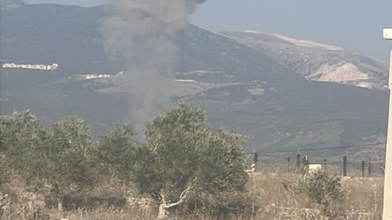 WhatsApp Image 2025-11-22 at 14.34.17_40836314