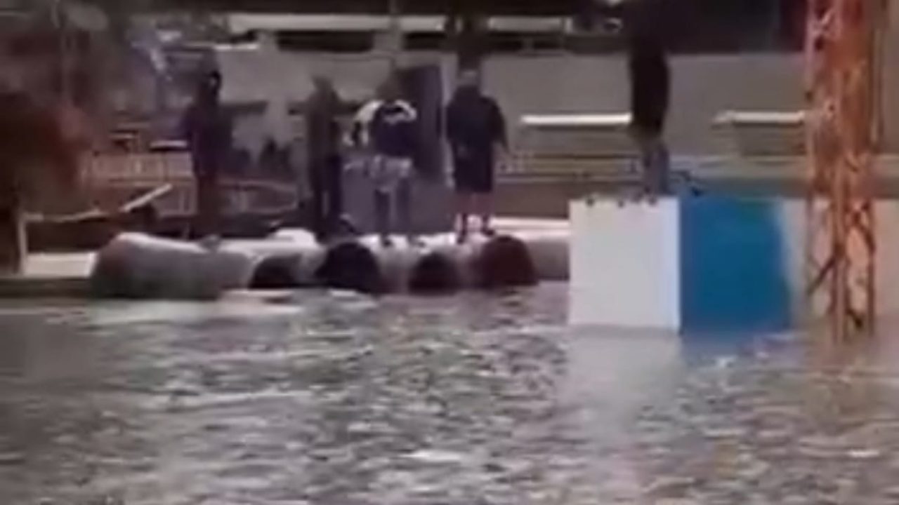 WhatsApp Image 2025-11-25 at 10.38.42_4a641a5c