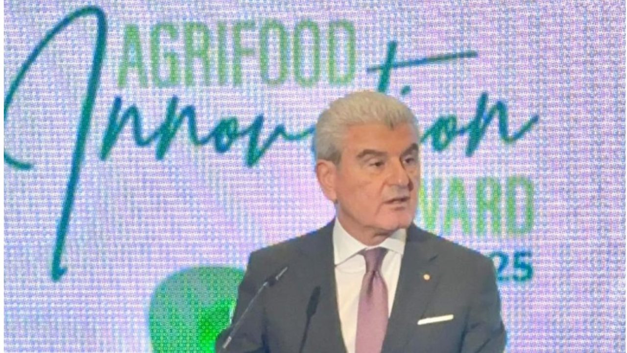 WhatsApp Image 2025-11-29 at 11.24.00_82e17e91