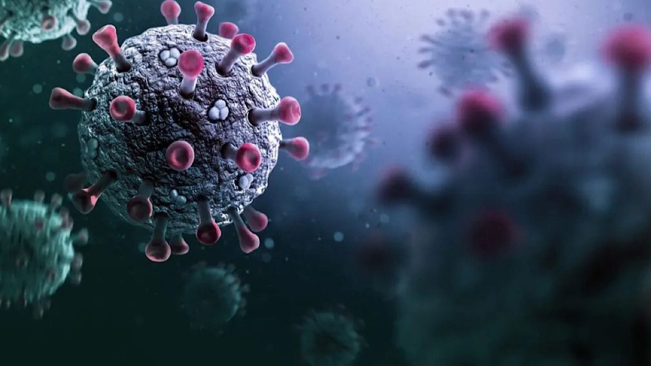 WhatsApp Image 2025-11-29 at 13.04.20_304a6750