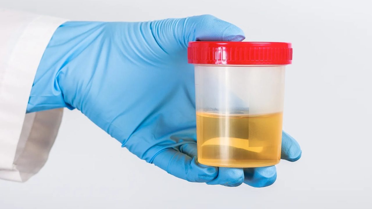 WhatsApp Image 2025-12-11 at 3.10.27 PM