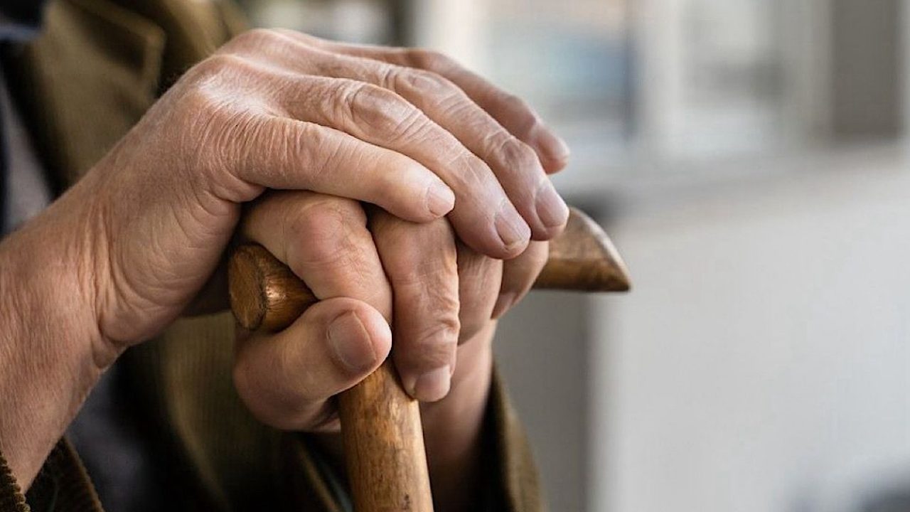 WhatsApp Image 2026-01-09 at 12.03.00