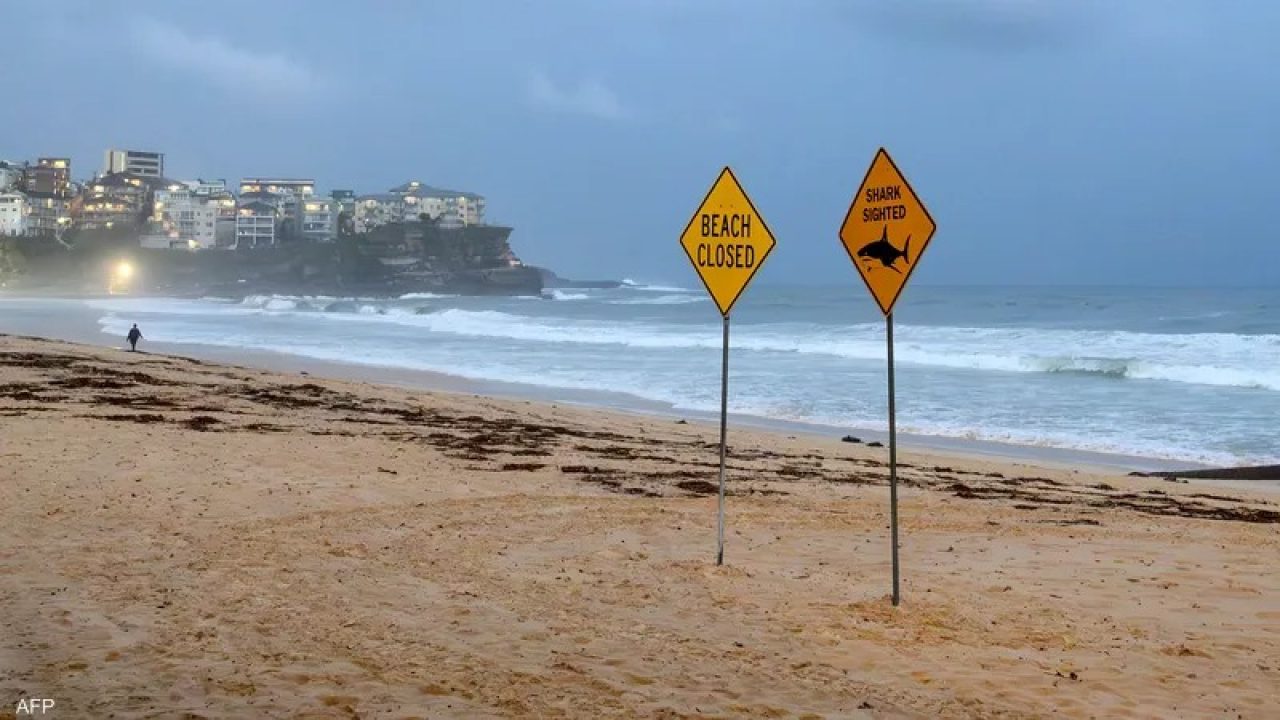 WhatsApp Image 2026-01-21 at 2.47.26 PM