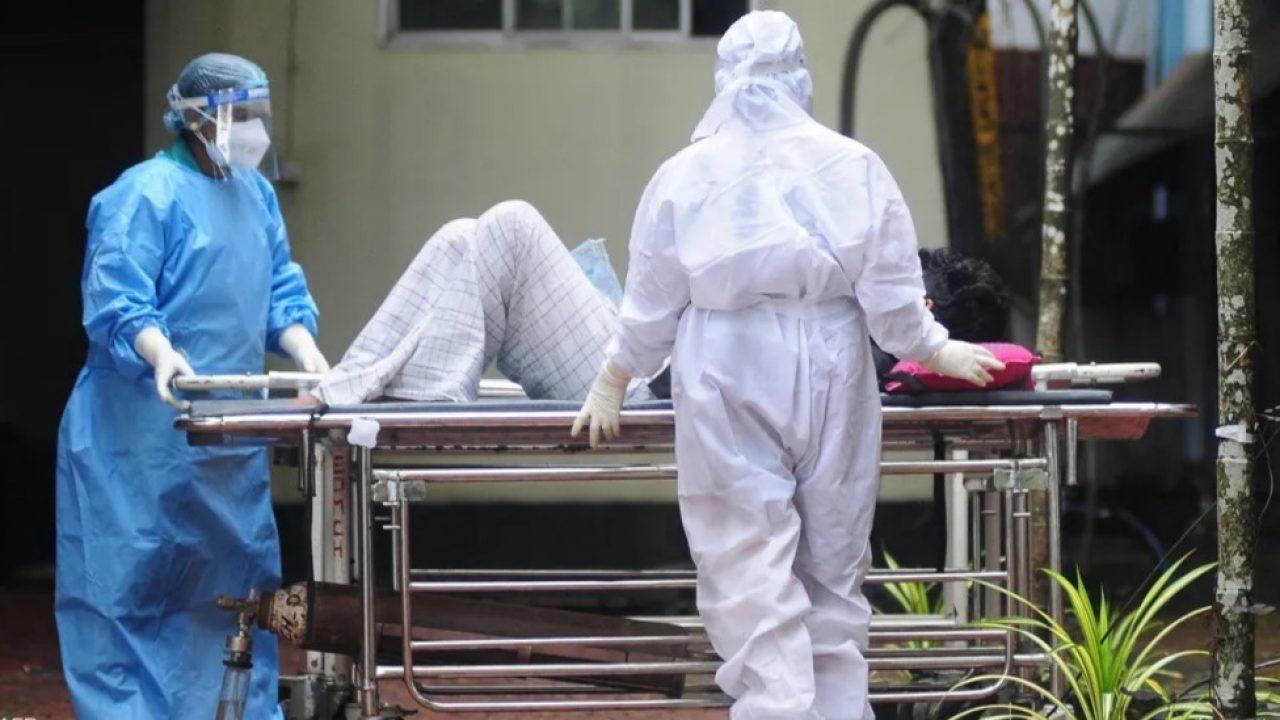 WhatsApp Image 2026-01-27 at 5.17.25 PM