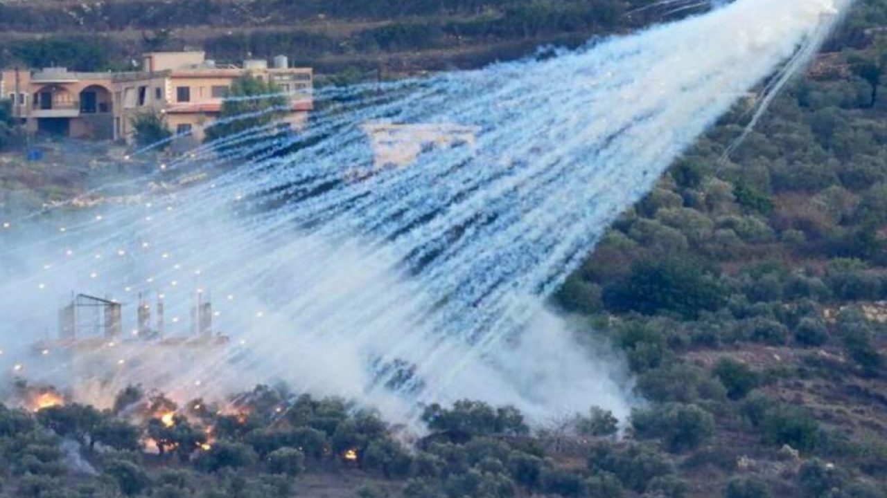 WhatsApp Image 2026-02-13 at 11.46.28 AM