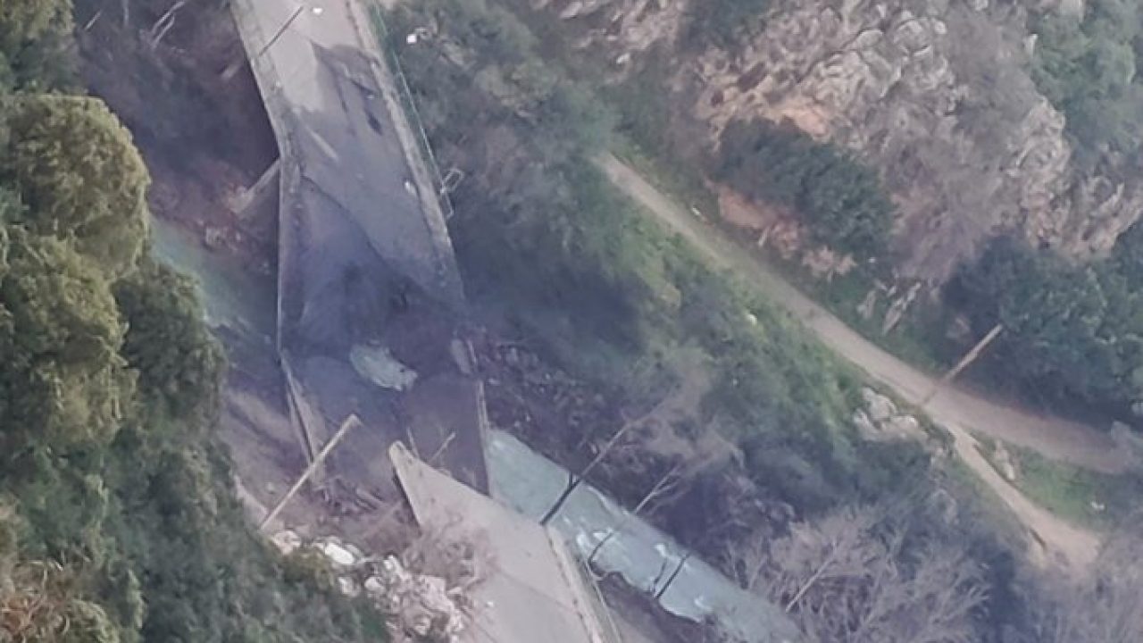 WhatsApp Image 2026-03-13 at 07.45.37