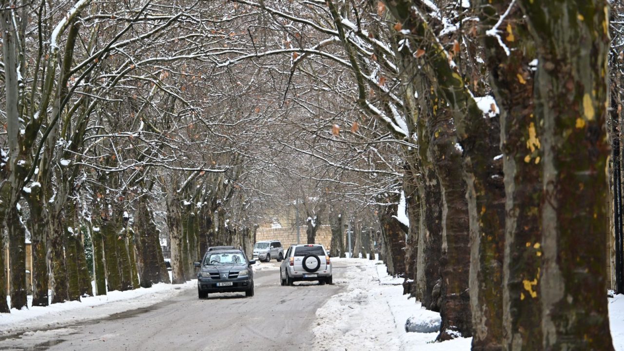 WhatsAppImage20250206at3.27.26PM_162227