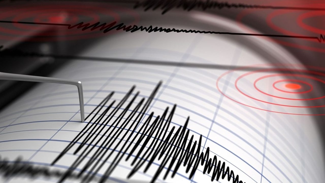 a2a39d7c-8490-4286-9fea-4c800a0ded3a