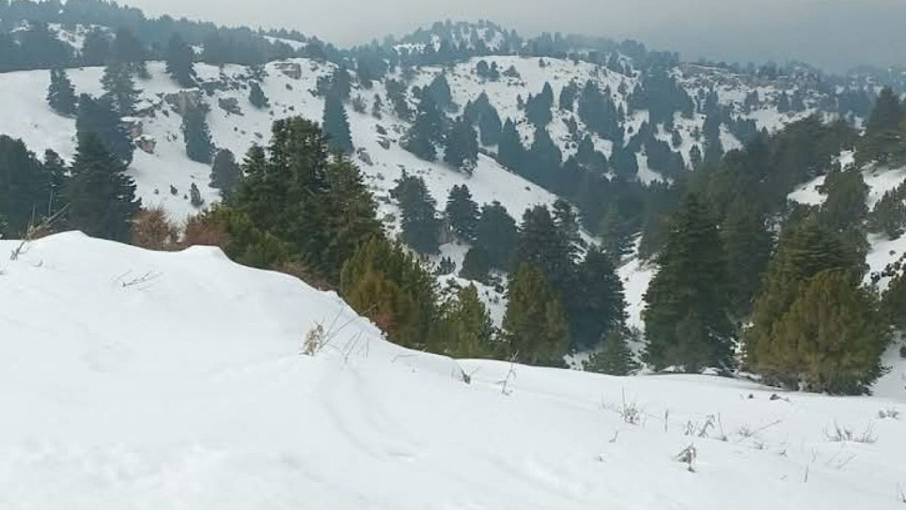 akkar-snow-r1w0pu5djds0r4rbxk012fm8l3idgnk4imk9lvkuu8