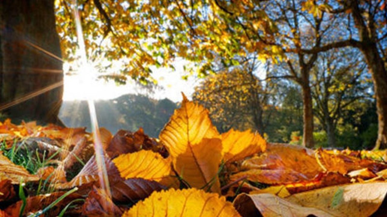 autumn