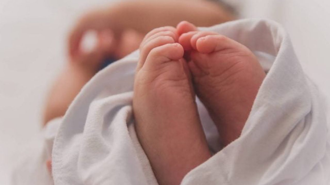 baby-qrald4w56p1vq6s1cr63i25ieorcvvvnmpwmnzo7q8